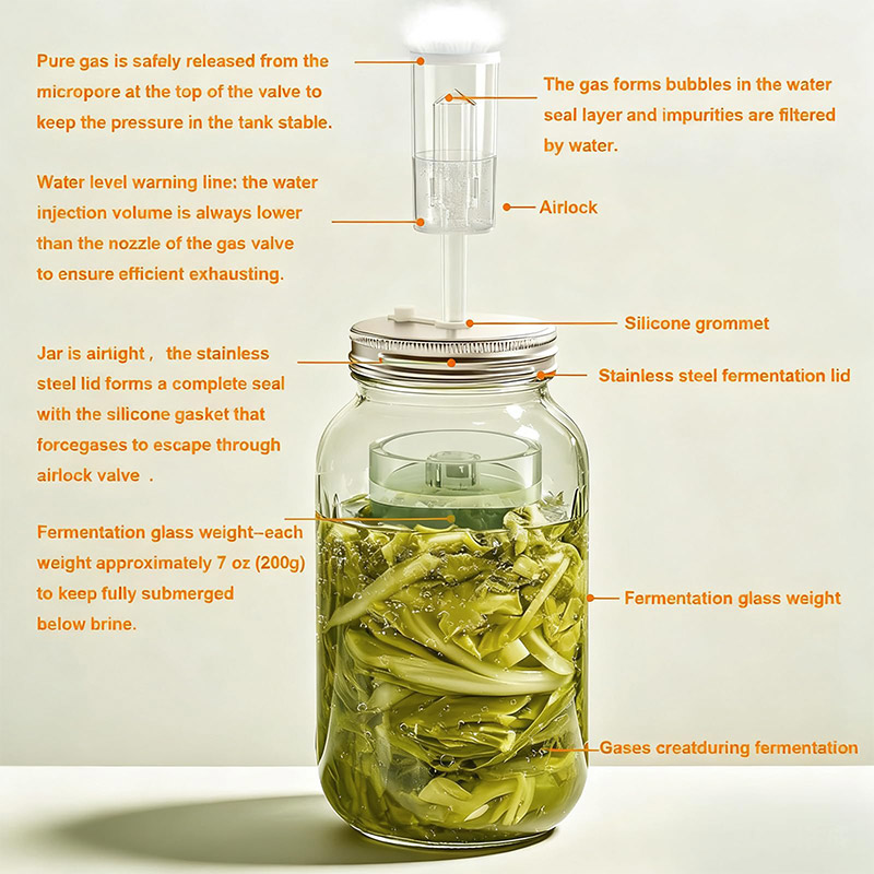 Fermentation Crock - Fermentatiekit, brede-mond Mason Jars set voor