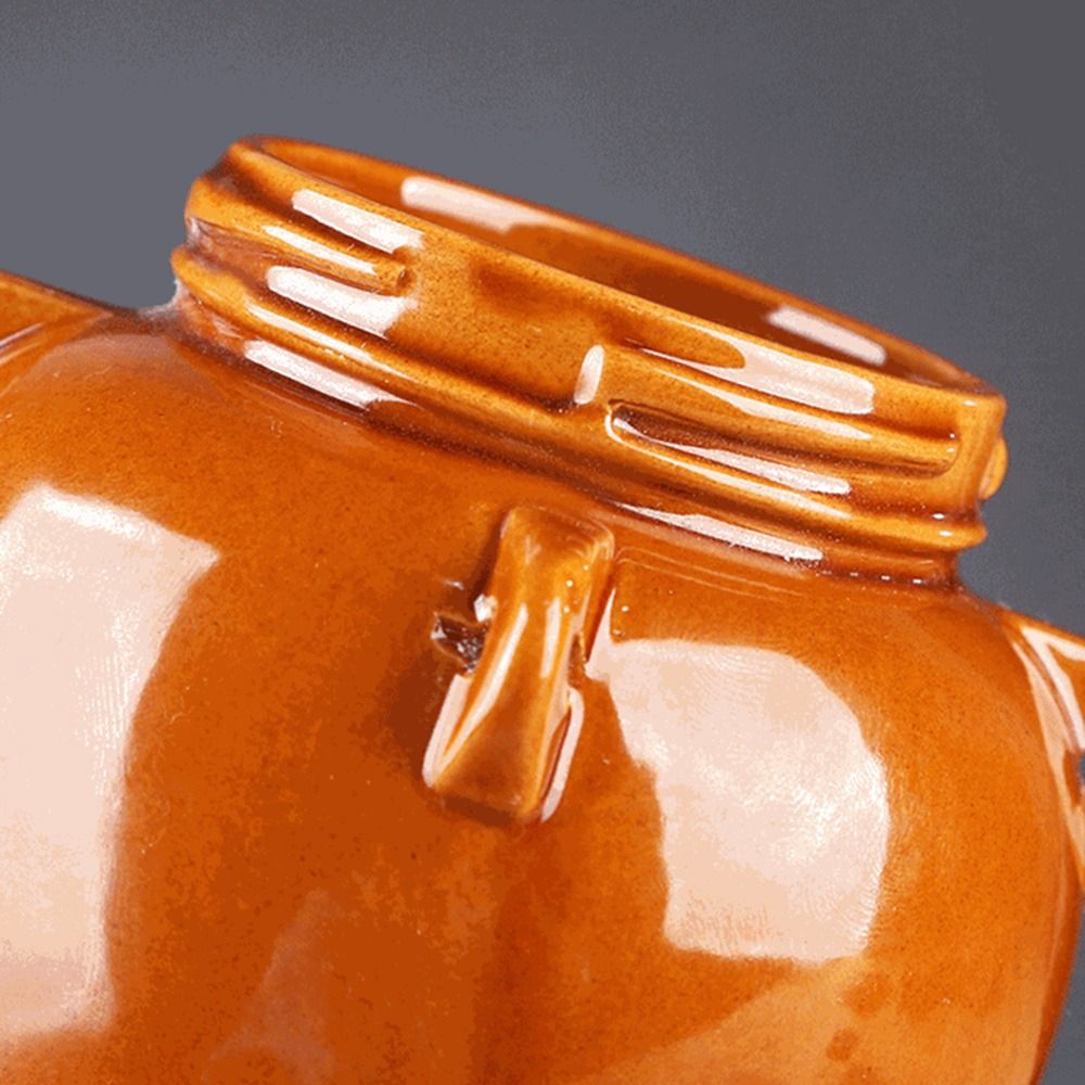 Grote capaciteit keramische au - Fermentation Crock recensie en prijs